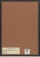 Tabellaria ? robusta Ehrenb. (de-Toni-Nr.: Genus 89, Species 2991) Zeichnungen Sammlung Grunow Mappe 03189 (Herbarium_W_Grunow_drawings_Folder_03189)
